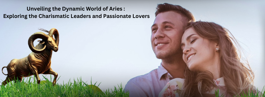 What are the key characteristics that define Aries individuals as charismatic leaders in various aspects of life?